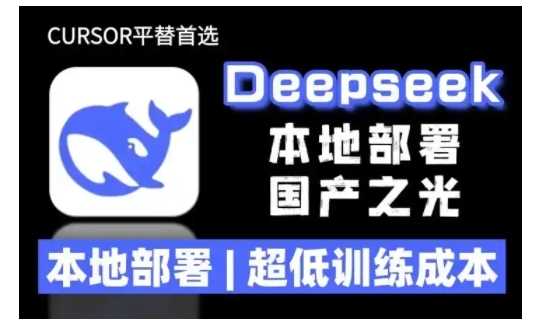 2025年deepseek R1 大型模型本地安装部署(文件+教程)本地部署，超低训练成本-玩备项目资源网