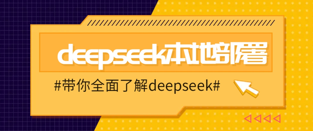 DeepSeek本地部署详细教程，轻松将deepseek部署到你的电脑上-玩备项目资源网
