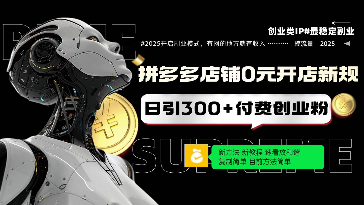 （14092期）拼多多店铺0元开店新规，日引300+付费创业粉，目前方法简单复制粘贴可矩阵-玩备项目资源网