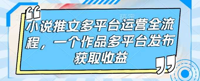 小说推文多平台运营全流程，一个作品多平台发布获取收益-玩备项目资源网