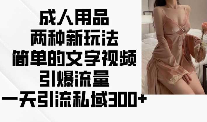 成人用品两种新玩法，简单的文字视频引爆流量，一天引流私域300+-玩备项目资源网