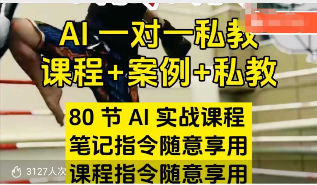 AI指令实战课，课程+案例，80节AI实战课程，笔记指令随意享用，课程指令随意享用-玩备项目资源网