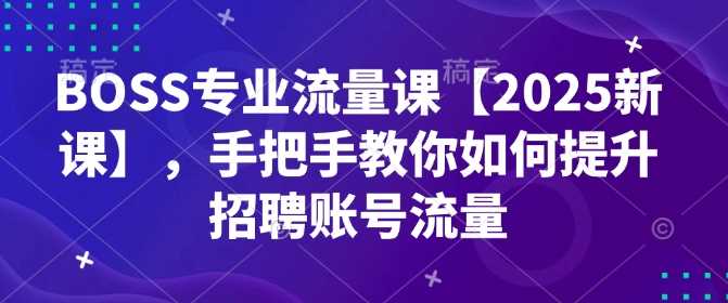 BOSS专业流量课【2025新课】，手把手教你如何提升招聘账号流量-玩备项目资源网