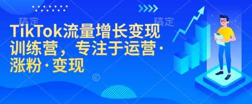 TikTok流量增长变现训练营，专注于运营·涨粉·变现-玩备项目资源网