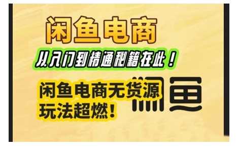 闲鱼电商实战课，从入门到精通秘籍在此，闲鱼电商无货源玩法超燃!-玩备项目资源网