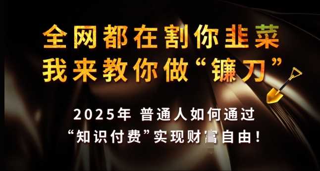 全网都在割你韭菜，我来教你做镰刀，2025年普通人如何通过 知识付费 实现财F自由【揭秘】-玩备项目资源网