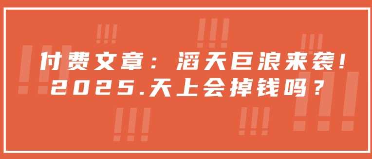 付费文章：滔天巨浪来袭！2025天上会掉钱吗？-玩备项目资源网