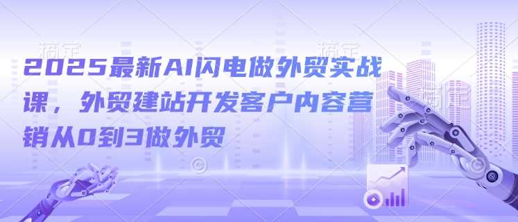 2025最新AI闪电做外贸实战课，外贸建站开发客户内容营销从0到3做外贸-玩备项目资源网
