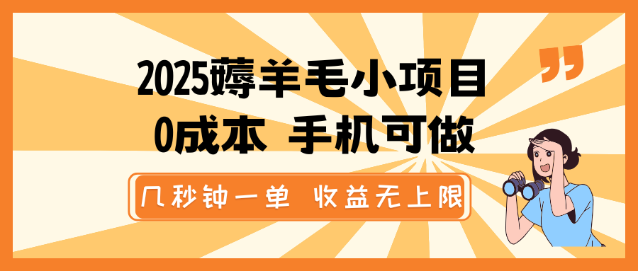 2025薅羊毛小项目，0成本 手机可做，几秒钟一单，收益无上限-玩备项目资源网