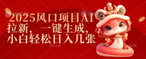 2025风口项目AI拉新，一键生成，小白轻松日入几张-玩备项目资源网