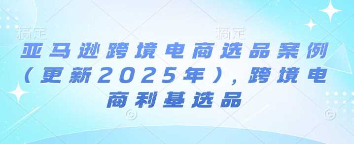 亚马逊跨境电商选品案例(更新2025年2月)，跨境电商利基选品-玩备项目资源网