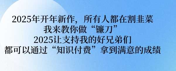 2025年开年新作，所有人都在割韭菜，我来教你做“镰刀” 2025让支持我的好兄弟们都可以通过“知识付费”拿到满意的成绩【揭秘】-玩备项目资源网