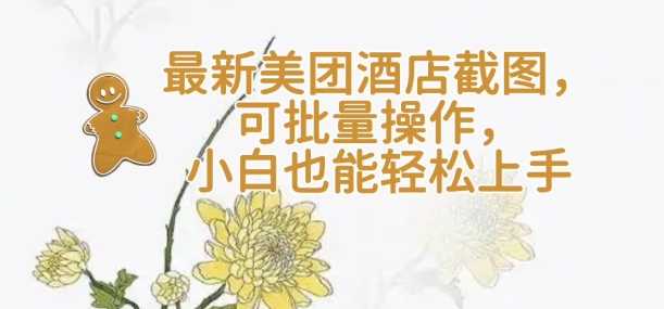 【轻云】最新美团酒店截图，可批量操作，小白也能轻松上手-玩备项目资源网