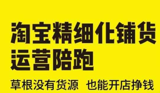 淘宝精细化铺货运营陪跑(部分更新至2025)，草根没有货源 也能开店挣钱-玩备项目资源网