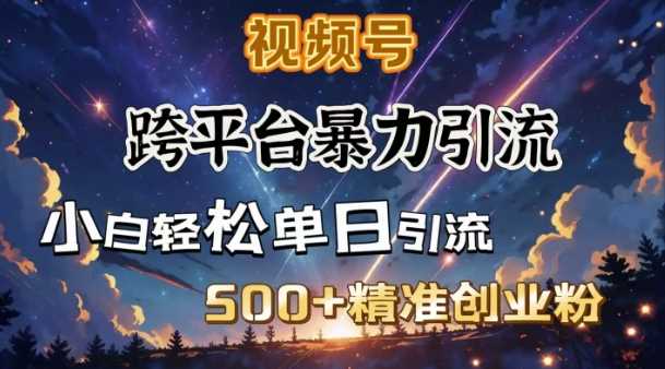 跨平台暴力引流，私域完美闭环，日引500+精准创业粉-玩备项目资源网