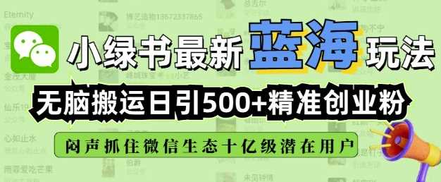 小绿书无脑搬运引流，全自动日引500精准创业粉，微信生态内又一个闷声发财的机会-玩备项目资源网