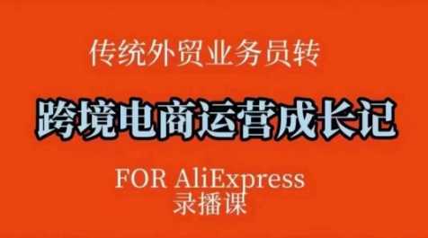 跨境电商速卖通运营课，​运营方法论+后台实操，逻辑清晰-玩备项目资源网