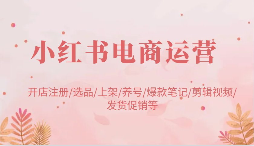 小红书电商运营：开店注册/选品/上架/养号/爆款笔记/剪辑视频/发货促销等-玩备项目资源网