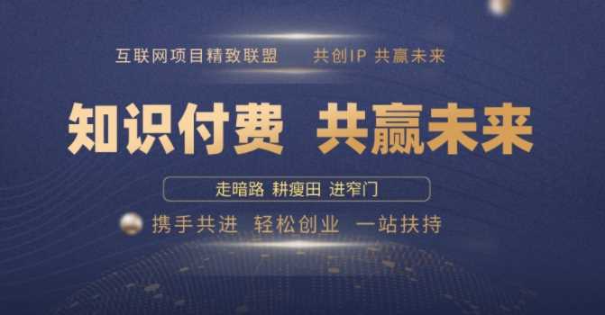 别人苦寻无果，为何他们靠知识付费卖项目 2025 年轻松年入100个?【揭秘】-玩备项目资源网