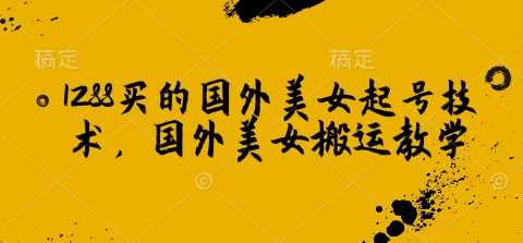 1288买的国外美女起号技术，国外美女搬运教学-玩备项目资源网