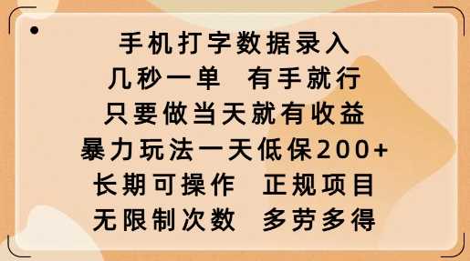 手机打字数据录入，几秒一单，有手就行，只要做当天就有收益，暴力玩法一天低保2张-玩备项目资源网