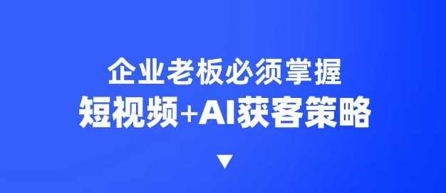 企业短视频AI获客霸屏流量课，6步短视频+AI突围法，3大霸屏抢客策略-玩备项目资源网