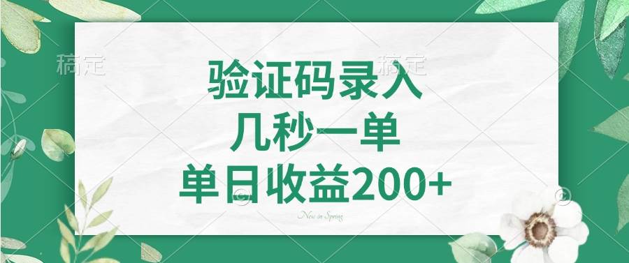 （14221期）验证码录入，几秒一单，单日收益200+-玩备项目资源网