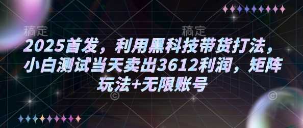 2025首发，利用黑科技带货打法，小白测试当天卖出3612利润，矩阵玩法+无限账号【揭秘】-玩备项目资源网
