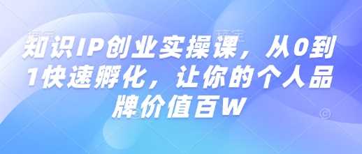 知识IP创业实操课，从0到1快速孵化，让你的个人品牌价值百W-玩备项目资源网