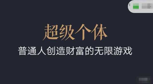 超级个体2024-2025翻盘指南，普通人创造财富的无限游戏-玩备项目资源网