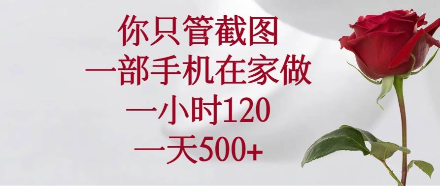 （14248期）你只管截图，一部手机在家做，一小时120，一天500+-玩备项目资源网