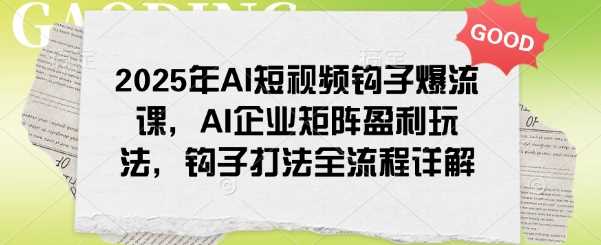 2025年AI短视频钩子爆流课，AI企业矩阵盈利玩法，钩子打法全流程详解-玩备项目资源网