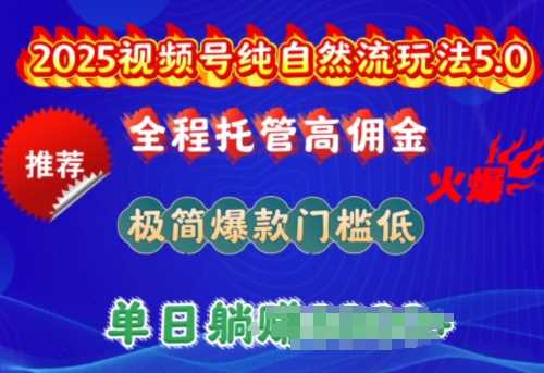 2025视频号纯自然流玩法5.0，全程托管高佣金，极简爆款门槛低，单日收益多张【揭秘】-玩备项目资源网
