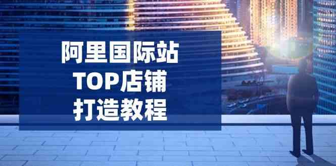 阿里国际站TOP店铺打造教程：涵盖平台到高阶，解决运营难题，提升询盘-玩备项目资源网
