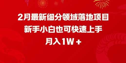 2月最新细分领域落地项目，新手小白也可快速上手，月入1W-玩备项目资源网