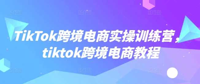 TikTok跨境电商实操训练营，tiktok跨境电商教程-玩备项目资源网
