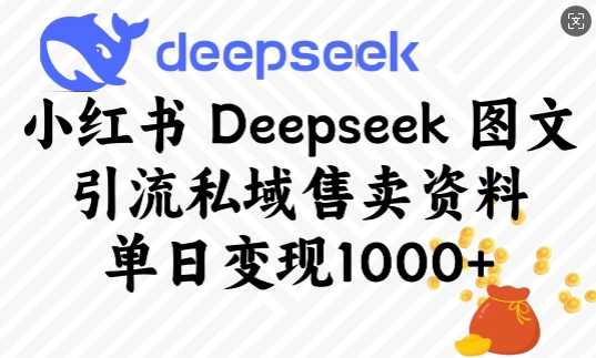 小红书Deepseek图文引流私域售卖资料，单日变现多张-玩备项目资源网