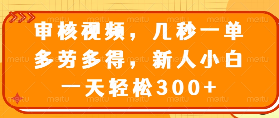 （14294期）审核视频，几秒一单，多劳多得，新人小白一天轻松300+-玩备项目资源网