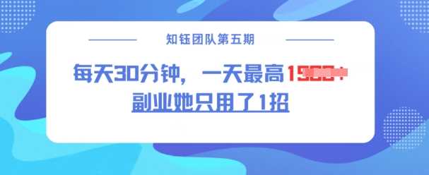 副业她只用了1招，每天30分钟，无脑二创，一天最高1.5k-玩备项目资源网