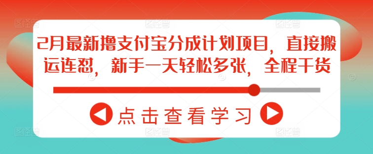2月最新撸支付宝分成计划项目，直接搬运连怼，新手一天轻松多张，全程干货-玩备项目资源网