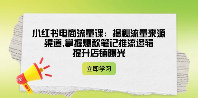 （14318期）小红书电商流量课：揭秘流量来源渠道,掌握爆款笔记推流逻辑,提升店铺曝光-玩备项目资源网