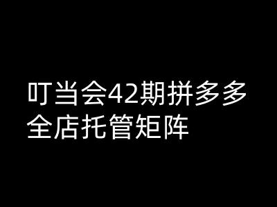 叮当会拼多多打爆班原创高阶技术第42期，拼多多全店托管矩阵-玩备项目资源网