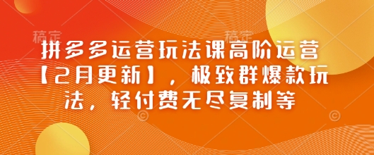 拼多多运营玩法课高阶运营【2月更新】，极致群爆款玩法，轻付费无尽复制等-玩备项目资源网