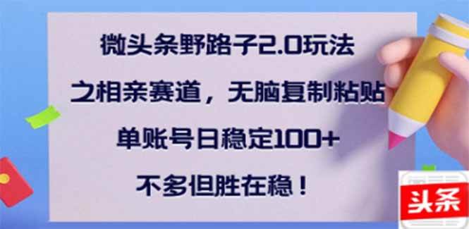 （14334期）微头条野路子2.0玩法之相亲赛道，无脑搬砖复制粘贴，单账号日稳定300+…-玩备项目资源网