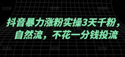 抖音暴力涨粉实操3天千粉，自然流，不花一分钱投流，实操经验分享-玩备项目资源网