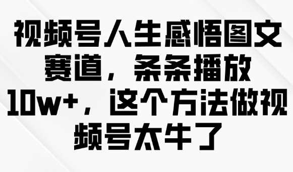 视频号人生感悟图文赛道，条条播放10w+，这个方法做视频号太牛了-玩备项目资源网