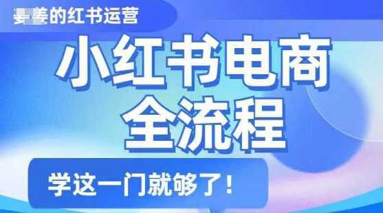 小红书电商全流程，精简易懂，从入门到精通，学这一门就够了-玩备项目资源网