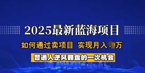 2025蓝海项目，普通人如何通过卖项目，实现月入过W，全过程【揭秘】-玩备项目资源网