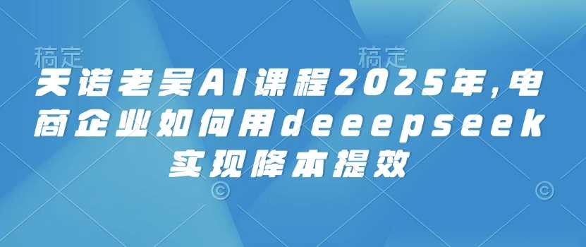 天诺老吴AI课程2025年，电商企业如何用deeepseek实现降本提效-玩备项目资源网