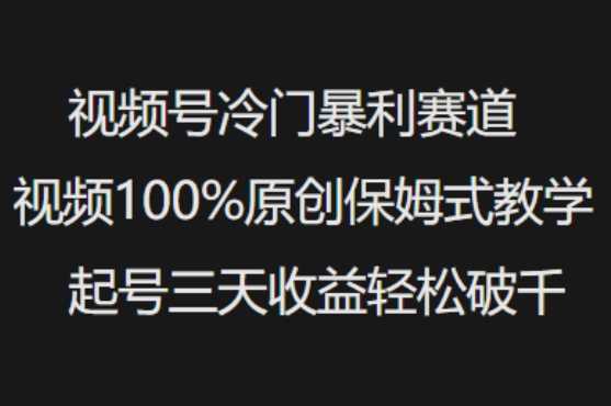 视频号冷门暴利赛道视频100%原创保姆式教学起号三天收益轻松破千-玩备项目资源网